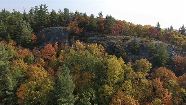 Read more about the article Trees, Youth, Our Future Episode 2