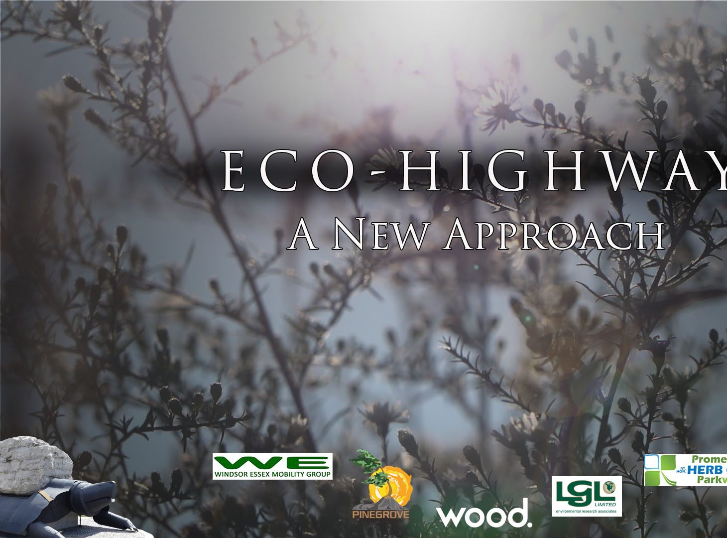 Read more about the article Eco-Highway