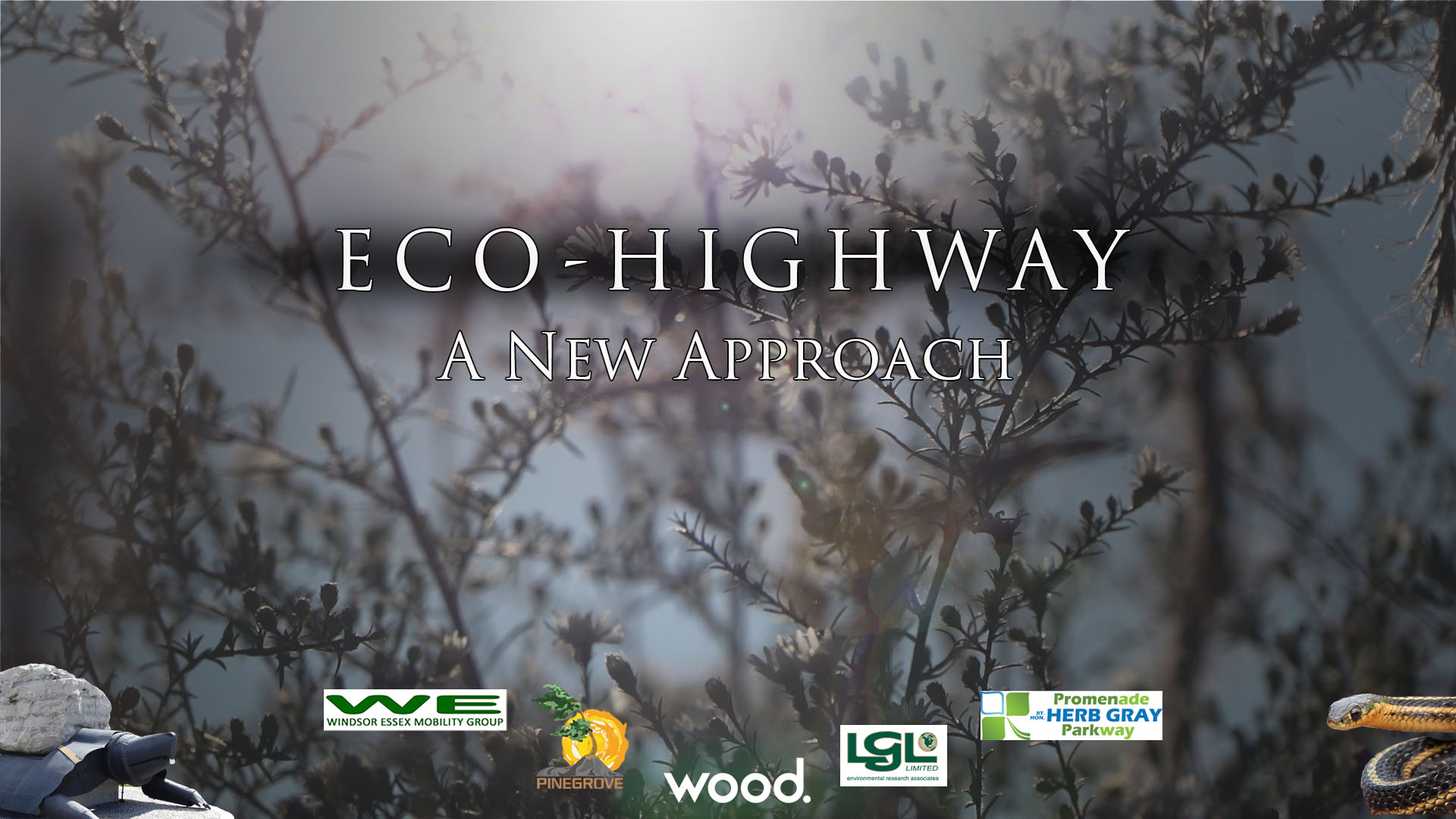 Eco-Highway Video